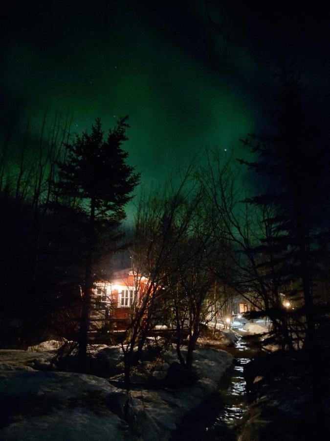 Bakkakot 3 Cozy Cabin In The Woods Akureyri Ngoại thất bức ảnh
