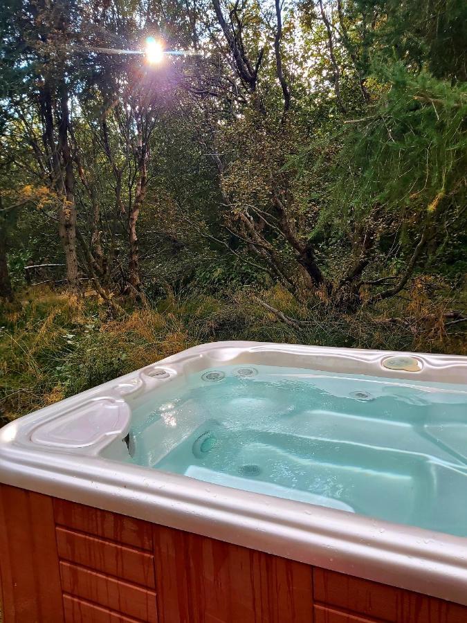 Bakkakot 3 Cozy Cabin In The Woods Akureyri Ngoại thất bức ảnh
