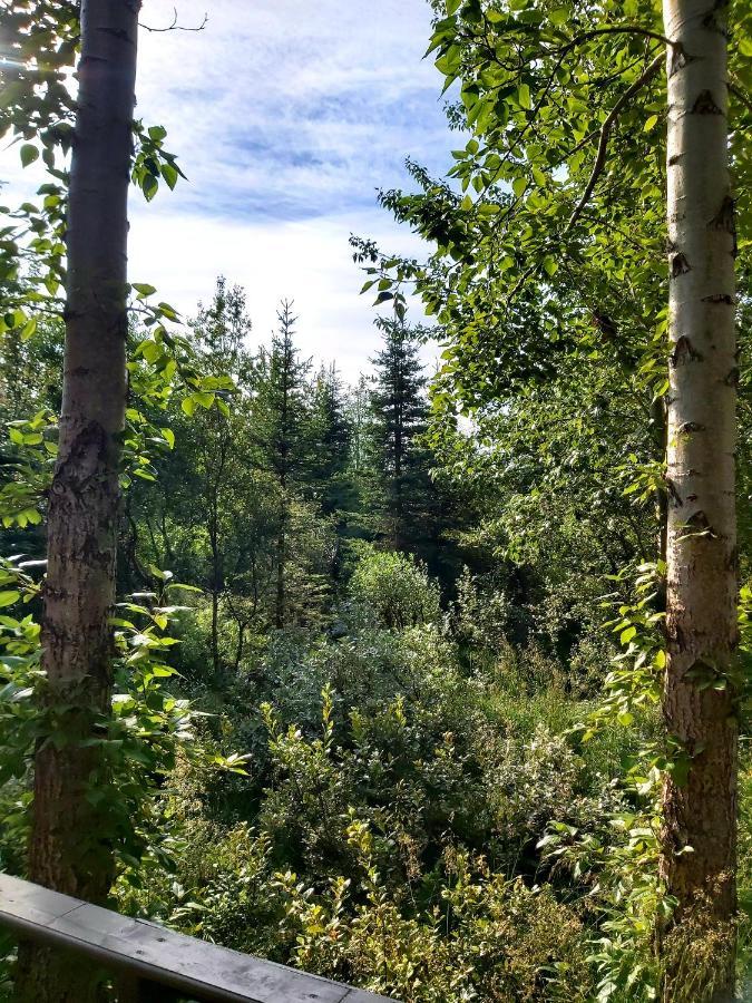 Bakkakot 3 Cozy Cabin In The Woods Akureyri Ngoại thất bức ảnh