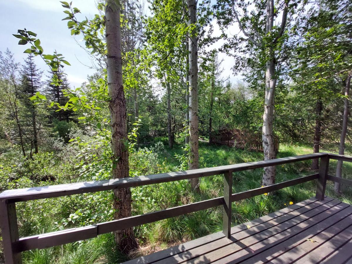 Bakkakot 3 Cozy Cabin In The Woods Akureyri Ngoại thất bức ảnh