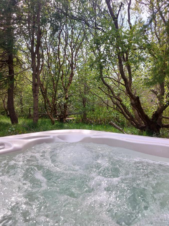 Bakkakot 3 Cozy Cabin In The Woods Akureyri Ngoại thất bức ảnh